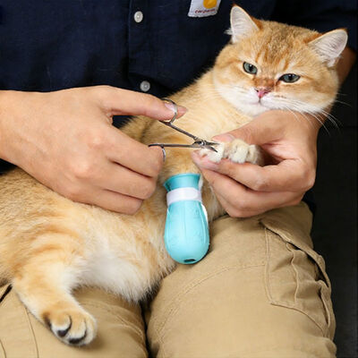 Anti-cat Claw Protection Soft Safe Adjustable Anti-scratch Silicone Cat Foot Covers